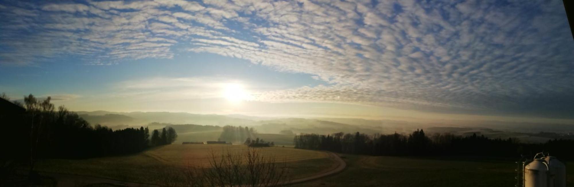 Landgasthof Peterbauer Schärding Dış mekan fotoğraf